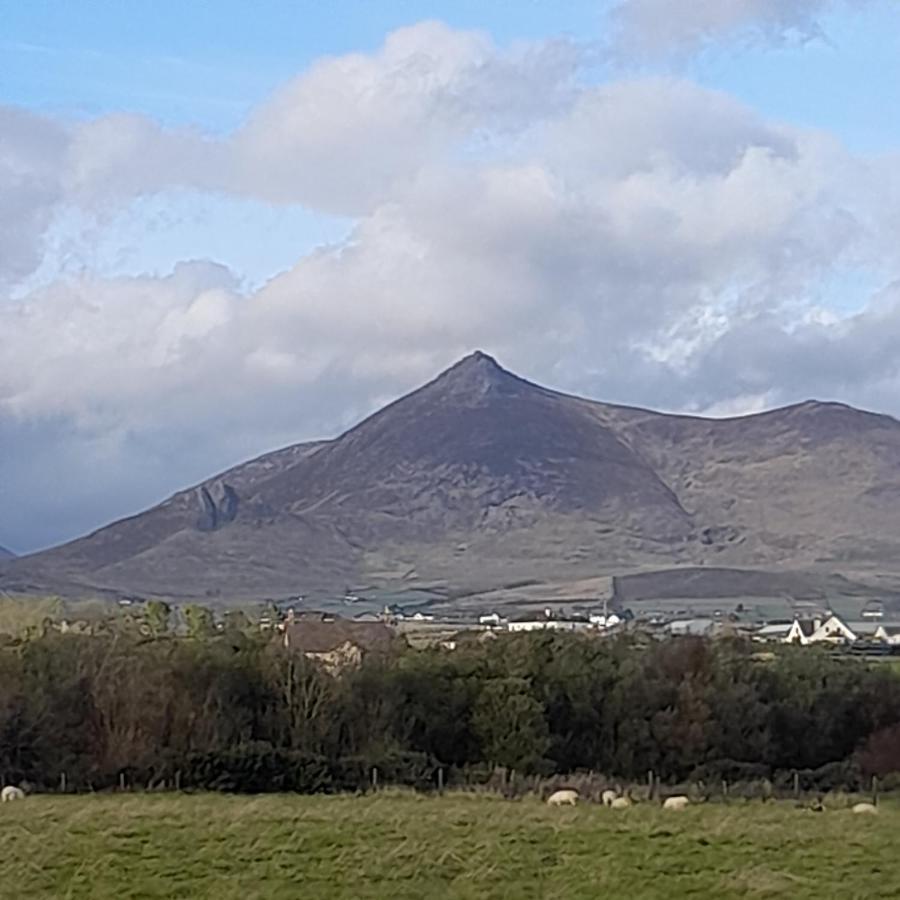 Ballykeel Farm, Mourne Mountains Ballymartin Bagian luar foto