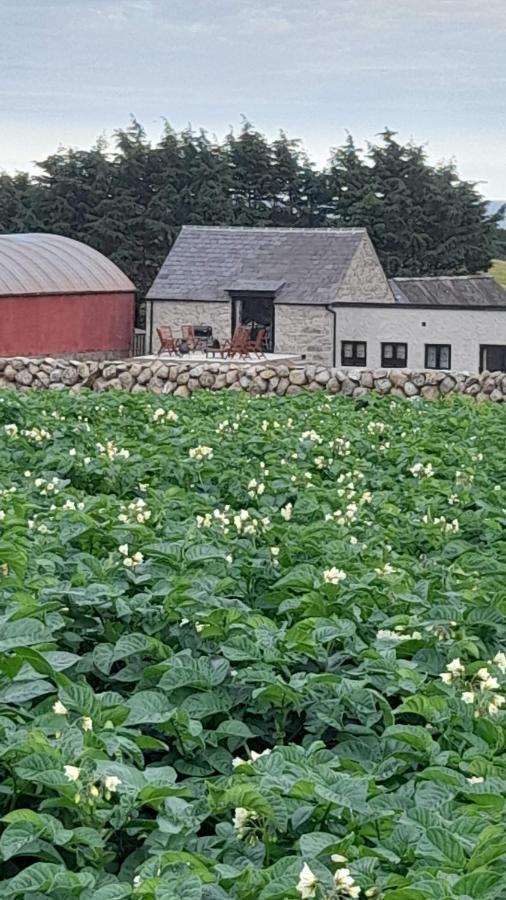 Ballykeel Farm, Mourne Mountains Ballymartin Bagian luar foto